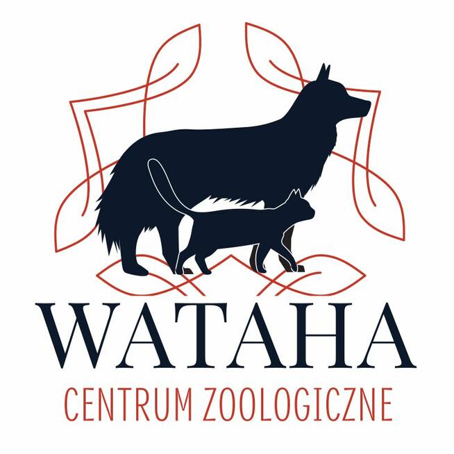 Strzyżenie psów/kotów DOBCZYCE Centrum Zoologiczne Wataha