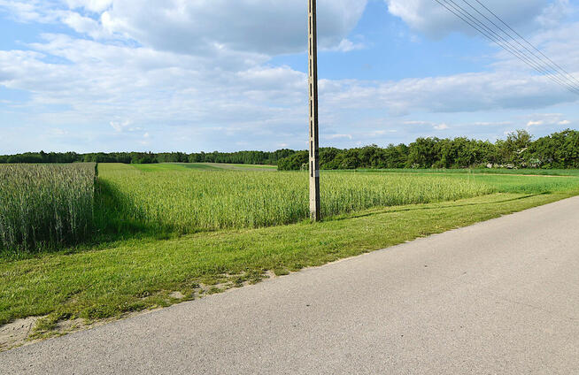 Działka rolno budowlana na sprzedaż
