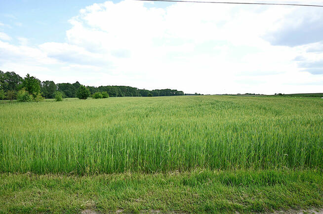 Działka budowlana na sprzedaż