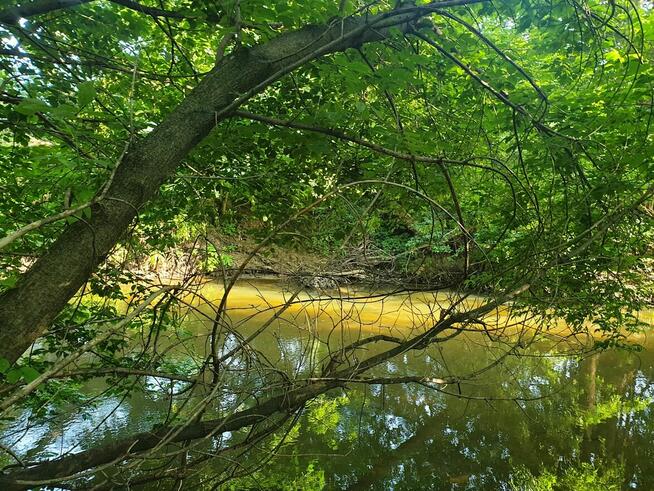 19 lat na rynku -Licencja nr 4905. Nieruchomości Stelmaszak