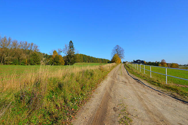 Działki pod zabudowę z prywatnym lasem.