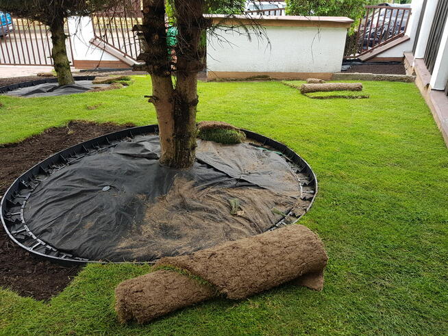 Zakładanie ogrodów, pielęgnacja, oprysk ćma bukszpanowa