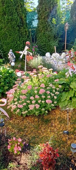 Weekend Majowy tel.797872382 Wczasy Nad Morzem Władysławowo