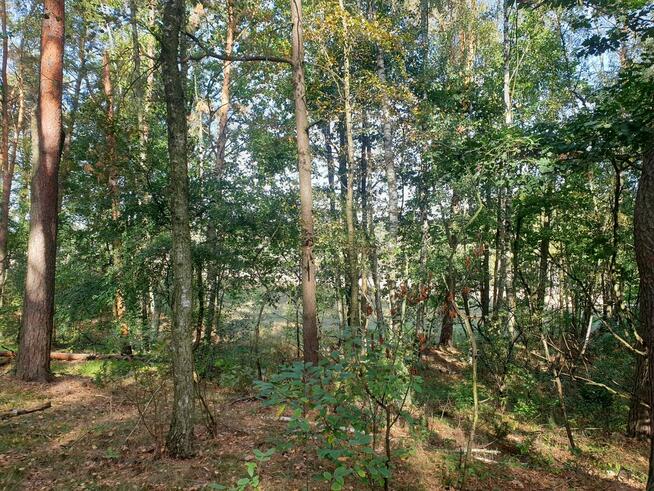 19 lat na rynku -Licencja nr 4905. Nieruchomości Stelmaszak