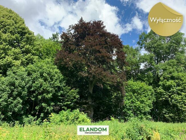 Zabytkowy zespół dworsko-parkowy na Mazurach