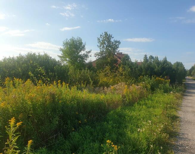 19 lat na rynku -Licencja nr 4905. Nieruchomości Stelmaszak