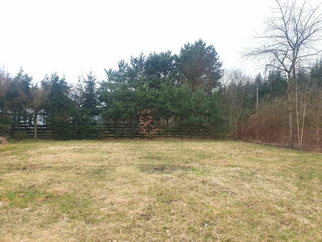 19 lat na rynku -Licencja nr 4905. Nieruchomości Stelmaszak