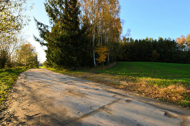 Działki pod zabudowę z prywatnym lasem.