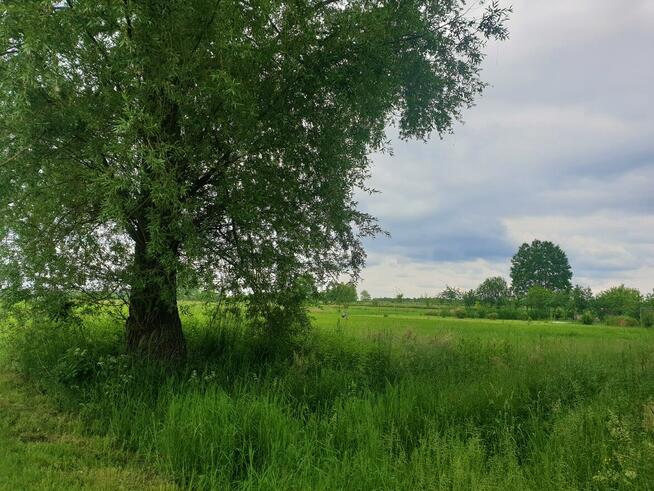 Duże, słoneczne działki - blisko Świdra – już 3 sprzedane