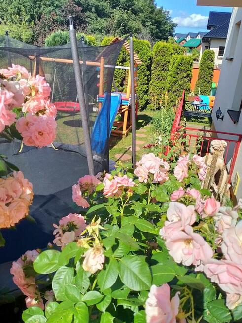 Weekend Majowy tel.797872382 Wczasy Nad Morzem Władysławowo