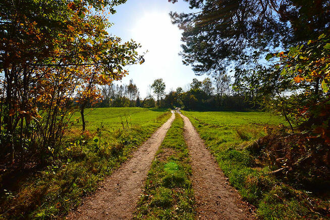 Działki pod zabudowę z prywatnym lasem.