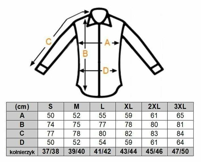 DANIEL BESSI Koszula Męska Fb045 Czarna, KARTY, Czaszki