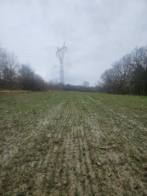 Wezmę w dzierżawe grunty rolne