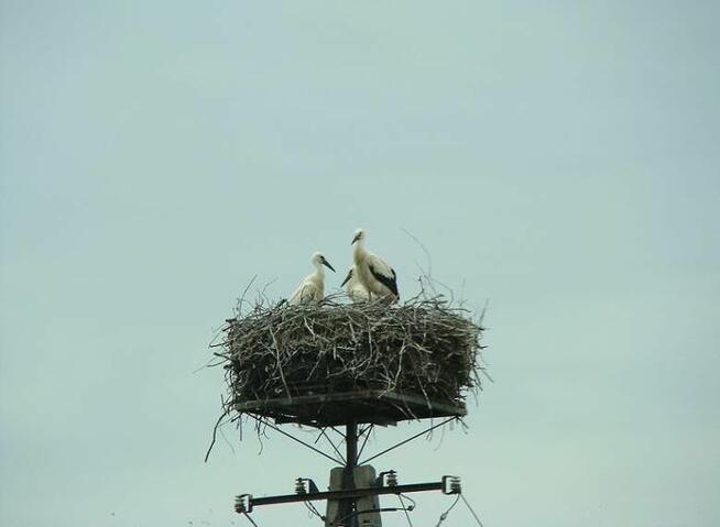 Wycieczki jednodniowe dla dzieci, przedszkoli, szkół
