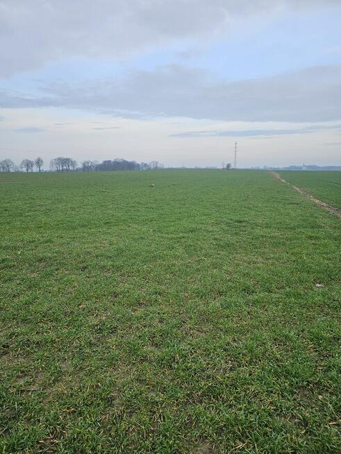 Wezmę w dzierżawe grunty rolne