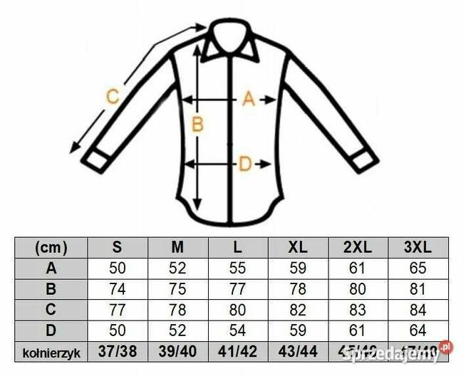 DANIEL BESSI Koszula Męska Fb028 Super AUTA, Samochody L 41
