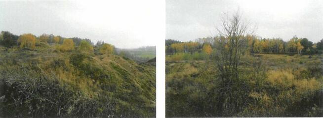 Zespół nieruchomości gruntowych niezabudowanych - Nowa Wieś