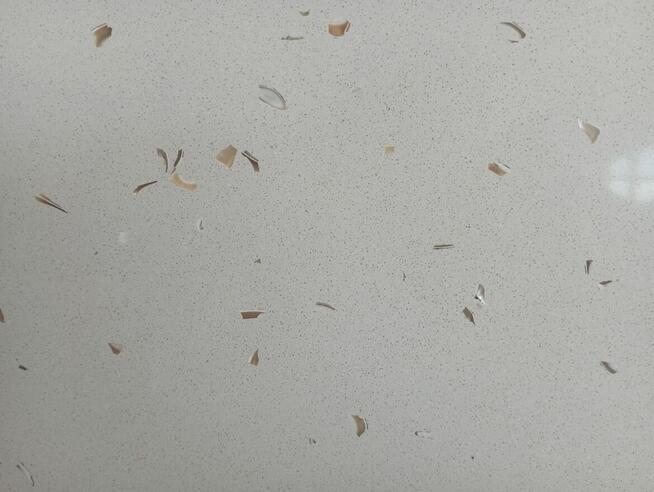 Konglomerat kwarcowy STAR SHELL WHITE 60x60x1,2