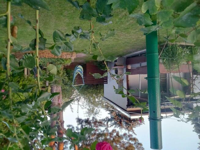 Działka rod Kruszyn Krajeński