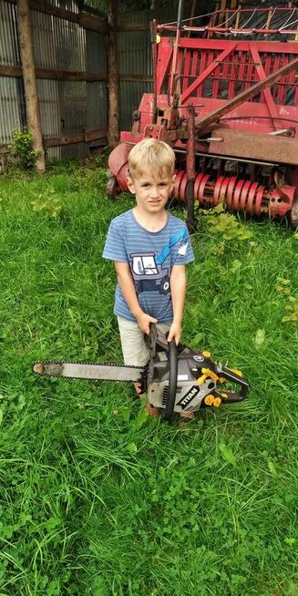 KOSZE TRAWY CHODNIKI STADIONY HOTELE PARKINGI POSESJE