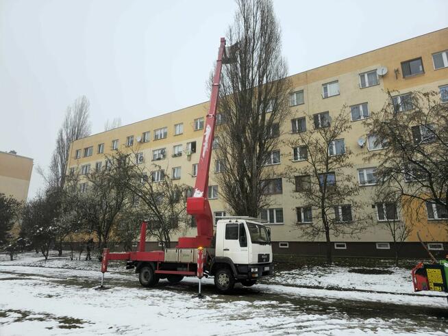 Wycinka drzew drzewa usuwanie konarów , wynajem podnośnik ko