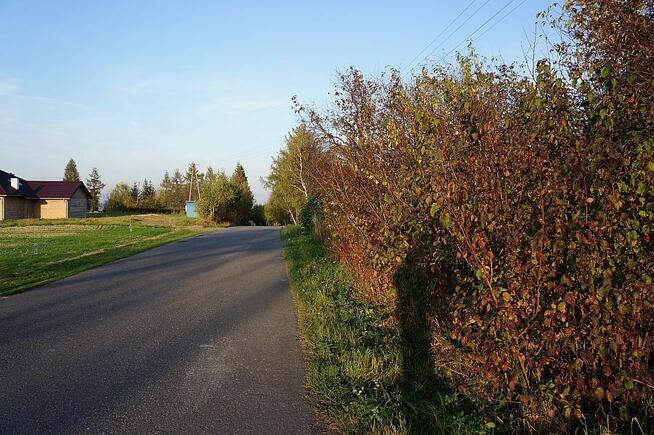 Działka budowlano - rolna w Szczepanowicach