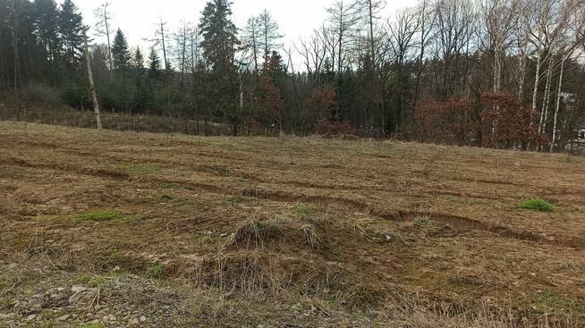 Wyżne/gm. Czudec - Działka 13,5a +2a udziału w drodze