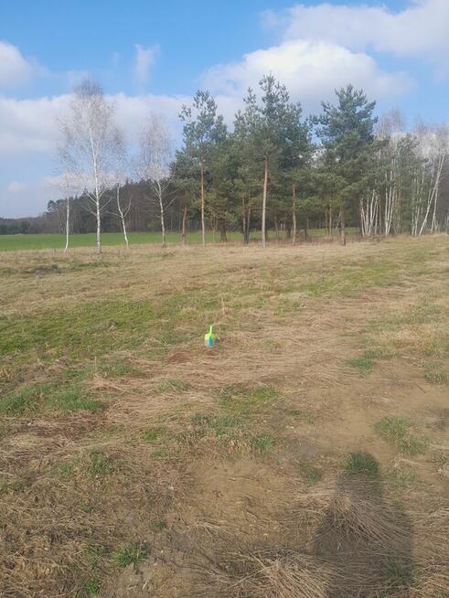 Działka budowlana ziemi 950m 1250 Strzyboga koło Skierniewic