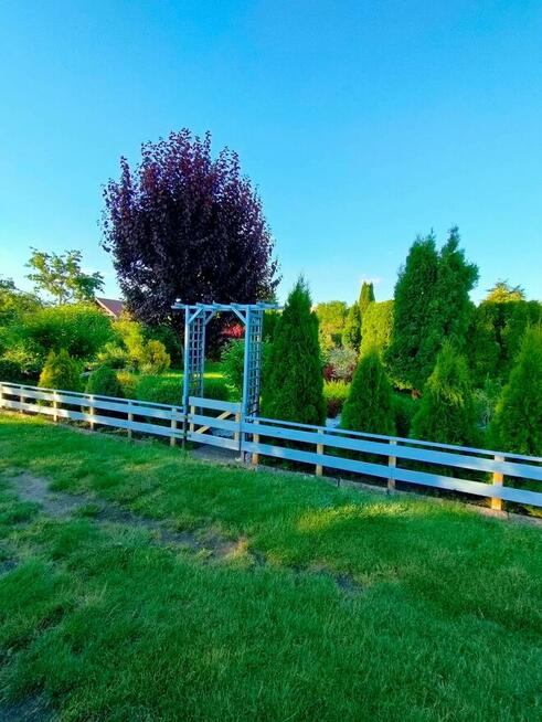 Działka ROD w Chodzieży