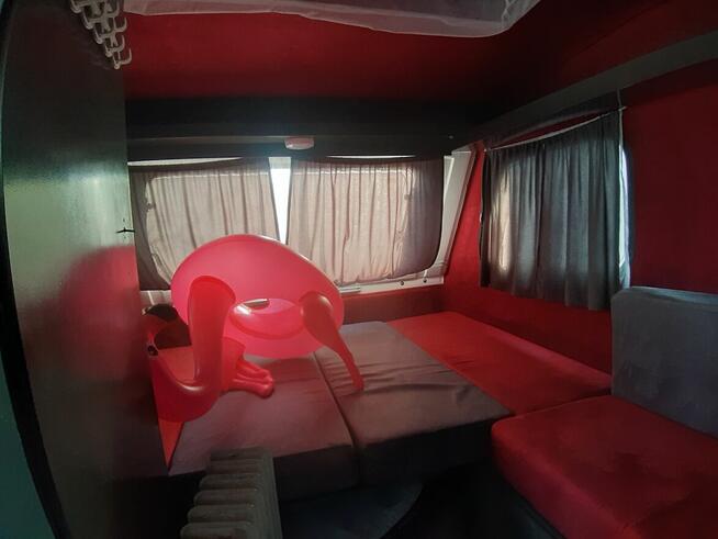 Niewiadów N126 sprzedaz