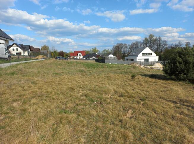 Działka Gortatowo ul. Pasieka