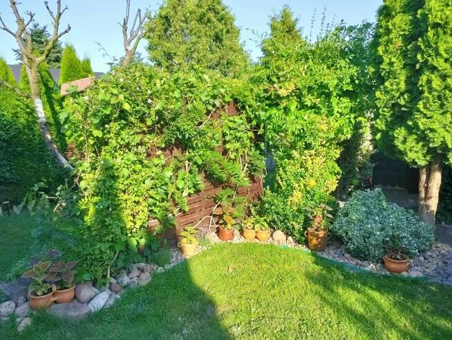 Działka ROD w Chodzieży