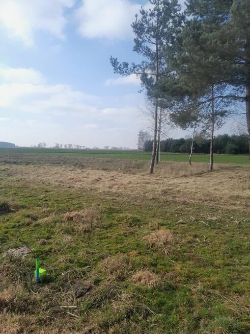 Działka budowlana ziemi 950m 1250 Strzyboga koło Skierniewic