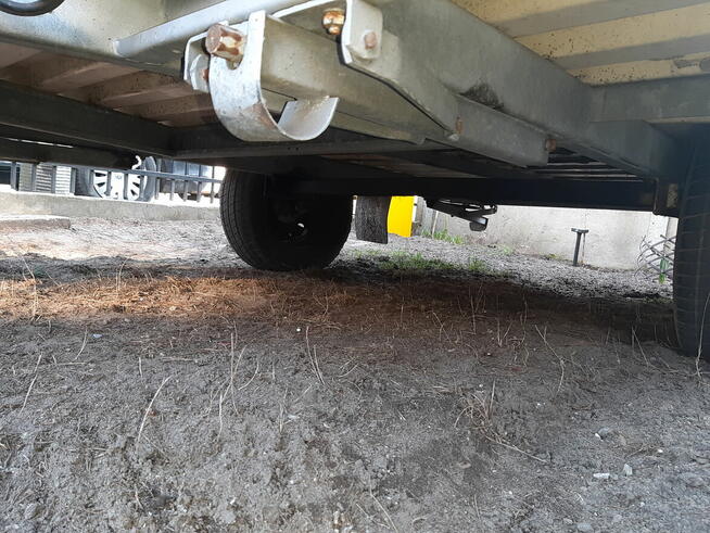 Niewiadów N126 sprzedaz