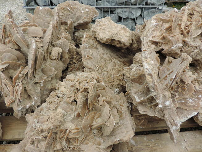 Kamień ozdobny Róża Pustyni bryła skałka kamień do ogrodu