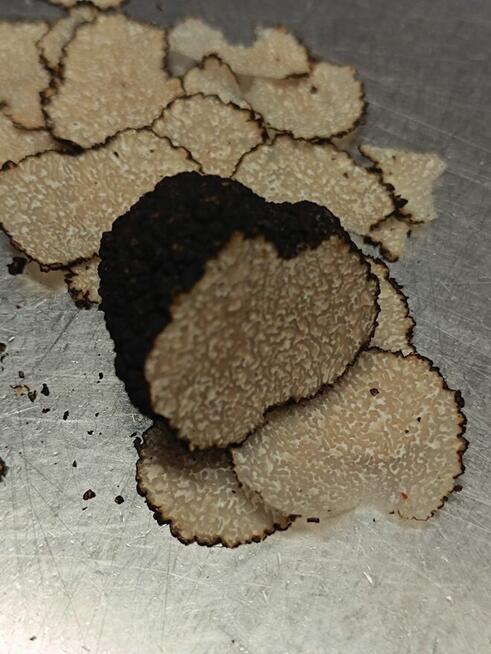 Włoska Trufla Czarna. Letnia odmiana. Okazja.