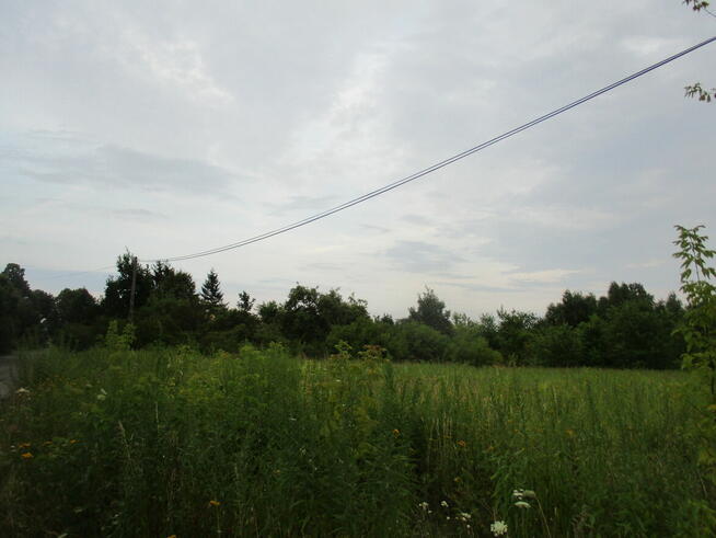 Wynajmę Działkę Pole 1,5 ha lub Podejmę współpracę