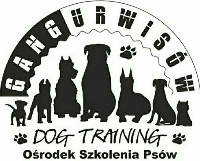 Przedszkole dla Szczeniąt Gdańsk Gang Urwisów