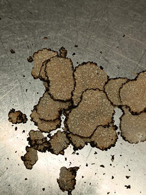 Włoska Trufla Czarna. Letnia odmiana. Okazja.