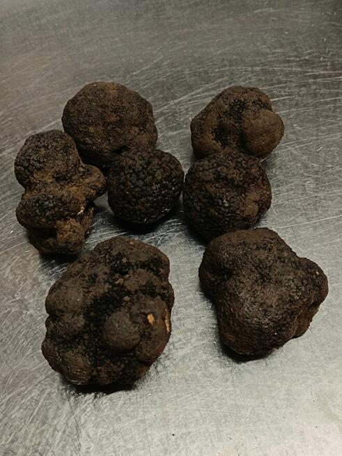 Włoska Trufla Czarna. Letnia odmiana. Okazja.