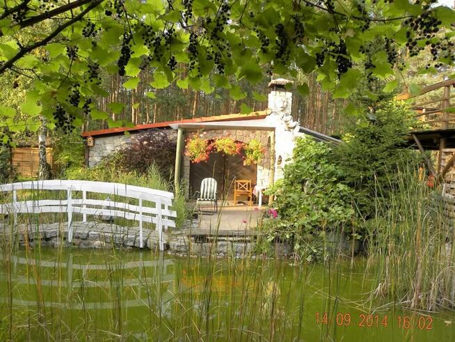 Wypoczynek i noclegi bezpośrednio nad jeziorem powidzkim