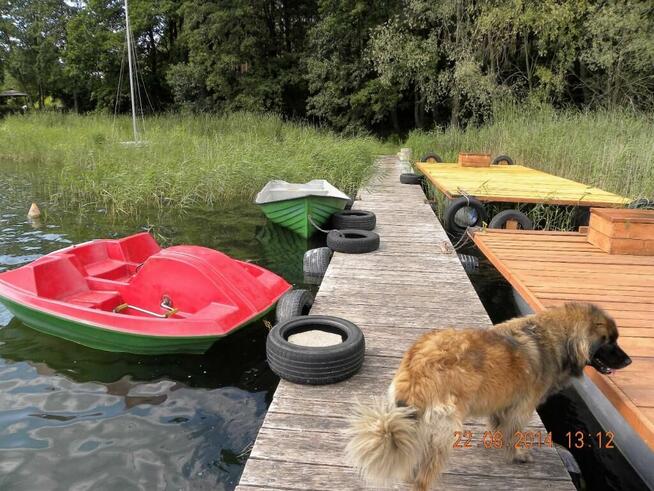 Wypoczynek bezpośrednio nad jeziorem powidzkim w Ostrowie