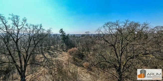 Działka Korsze Prosna