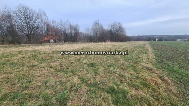 Działka budowlana Czyżowice gm. Gorzyce