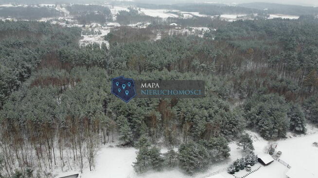 Działka leśna z możliwością zabudowy