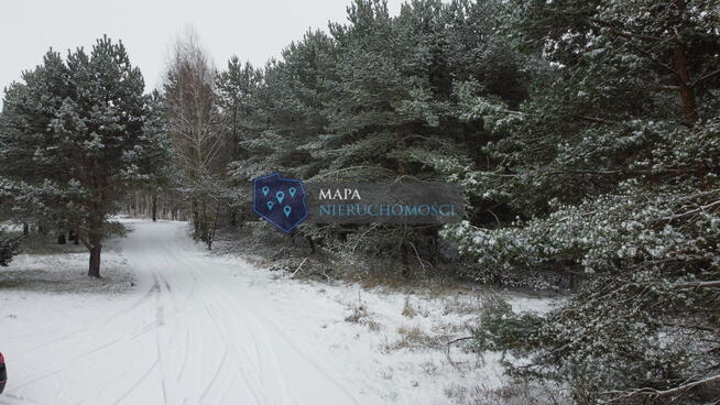 Działka leśna z możliwością zabudowy