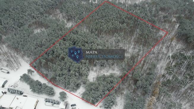 Działka leśna z możliwością zabudowy