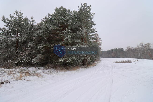 Działka leśna z możliwością zabudowy