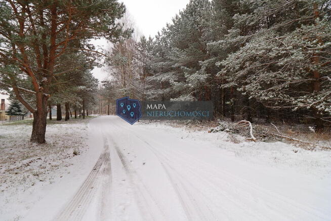 Działka leśna z możliwością zabudowy