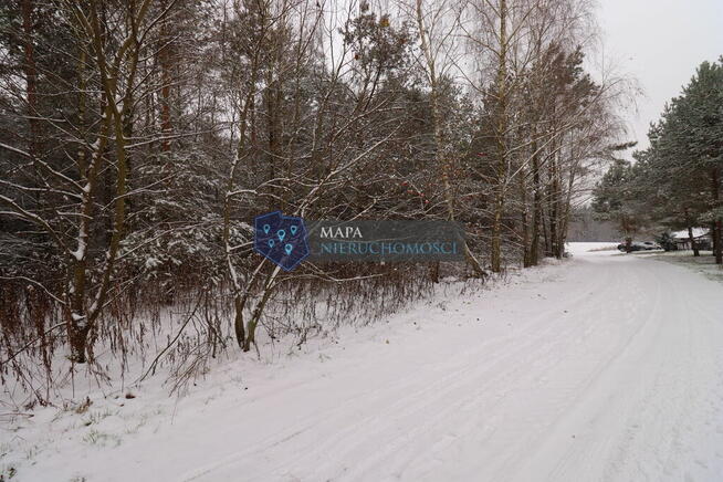 Działka leśna z możliwością zabudowy